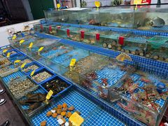 -滑记海鲜饭店·老字号(海鲜街店)