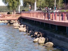 -丁香湖公园
