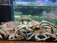 -顺轩海鲜火锅酒家