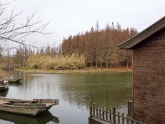 -溱湖国家湿地公园