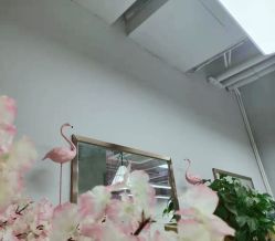 -Feel 羽毛接发