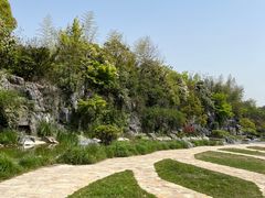 -上海吴淞炮台湾国家湿地公园
