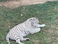 -石家庄市动物园