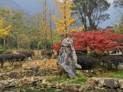 -明月山风景名胜区
