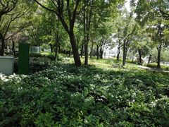 -北外滩滨江绿地