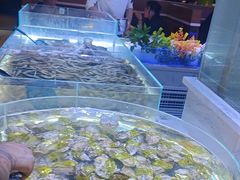 -聚盛源蒸汽海鲜火锅烤肉自助(巨川金海岸购物广场店)