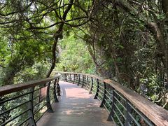 -深圳仙湖植物园