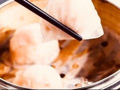 -MR鹅外