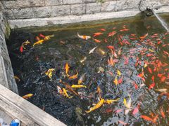 -红螺寺