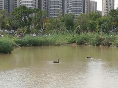 -牛岗山公园