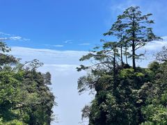 -峨眉山风景名胜区