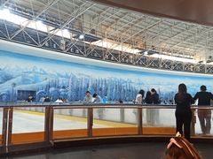 -世界之窗阿尔卑斯冰雪世界