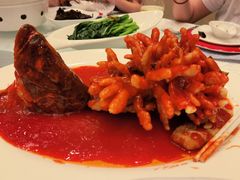 松鼠桂鱼-亢龙太子酒轩·花园店