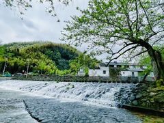 -鹿亭中村