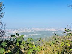 -紫金山山顶公园