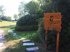 -上海崇明金茂凯悦酒店