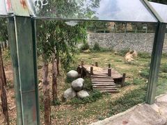 -泉州海丝野生动物世界