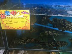 -蚝专家(北滘店)