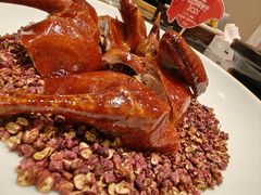 大红袍乳鸽王-朱记乳鸽王·非遗石岐乳鸽·全鸽宴(大兴旗舰店)