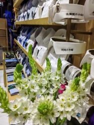 -埃沃定制(壹方城购物中心店)