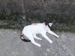 -道教老君洞