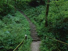 -青城山