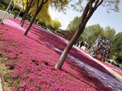 -石家庄市植物园