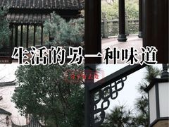-八大山人梅湖景区