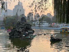 -团结湖公园