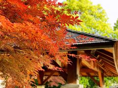 -天目湖涵田半山温泉