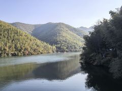 -紫藤园·天目湖大鱼头(南山竹海店)