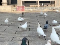 -梅州天地人花园酒店(梅县人民广场店)