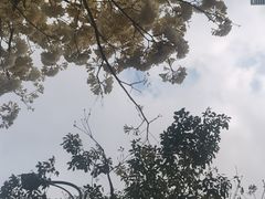 -星巴克(深圳百度大厦西塔店)