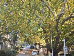 -山东农业大学(岱宗校区)