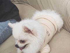 -怪兽屋·羊驼·猫咖·狗咖(俊华广场店)