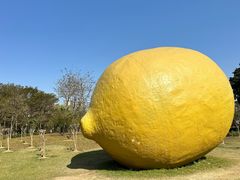 -顺峰山公园