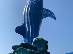 -珠海长隆海洋王国