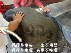 -南岳衡山风景名胜区-南岳大庙