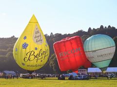 -布里斯托尔国际热气球节