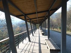 -西湖风景区-江洋畈生态公园
