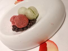 -蝶舍·MAISON PAPILLON