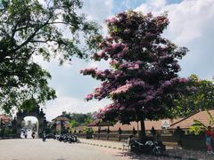 -塔曼阿扬寺/母神庙