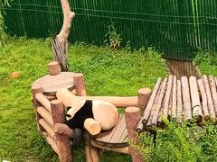 -沈阳森林动物园