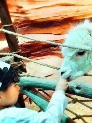 -酷嗒动物文化乐园(cutezoo西溪乐天城店)