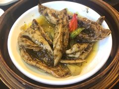 黑椒猪大肠-添运来(茶园奥园广场店)