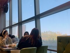 -油梨树AVOCADO TREE(望京店)