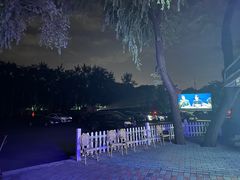 -枫花园汽车电影院(朝阳公园店)