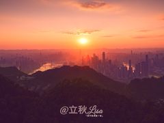-大金鹰园