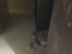 -Xcape异时刻密室逃脱真人NPC(新世界百货崇文店)