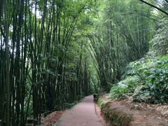 -赤水丹霞旅游区·大瀑布